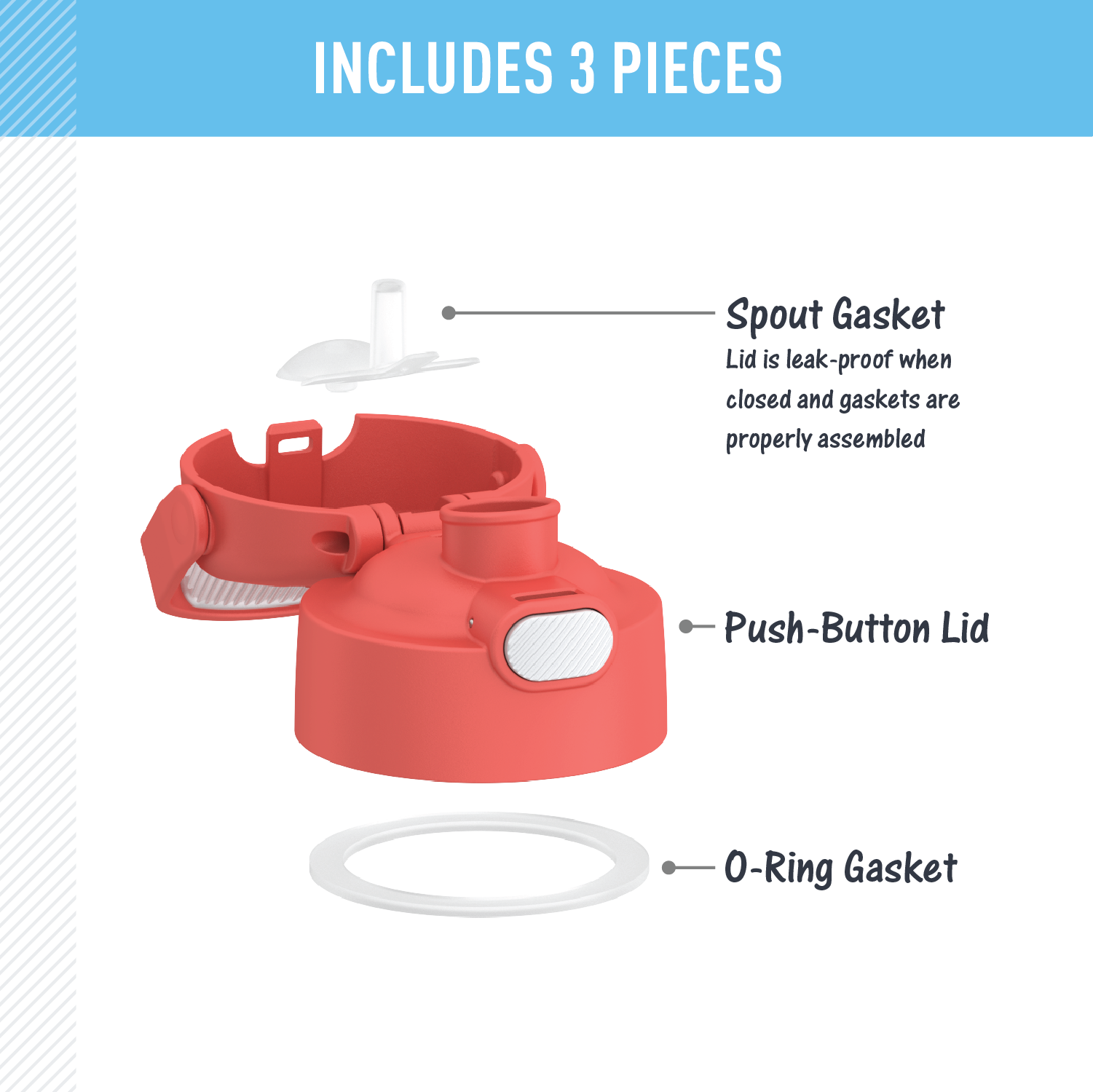 FUNTAINER® WATER BOTTLE - REPLACEMENT SPOUT LID